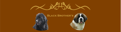Black-brothers